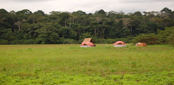 Gabon e S&atilde;o Tom&eacute; - La natura del Parco Nazionale di Loango e l&rsquo;isola tropicale di S&atilde;o Tom&eacute;